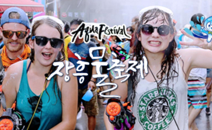 정남진 장흥물축제 홈페이지 구축