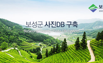보성군 사진DB 구축