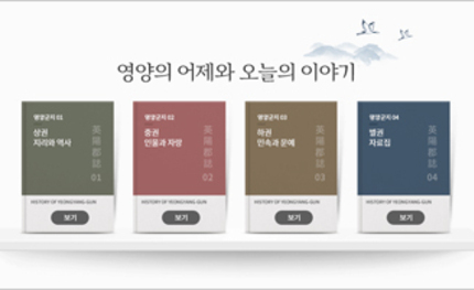 디지털 영양군지 홈페이지 구축