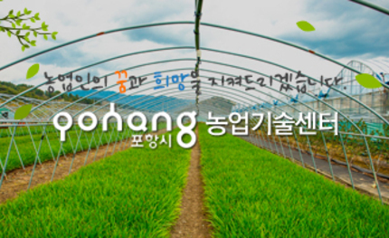 포항농업기술센터 스마트스토어 메인 및 상품 상세페이지 웹디자인