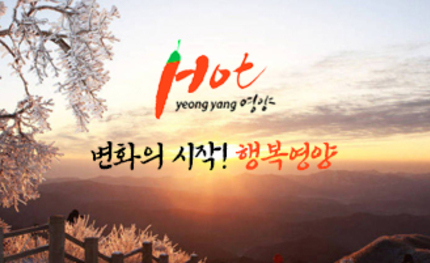 영양군 대표홈페이지 디자인 개편 및 패밀리 홈페이지 콘텐츠보강용..